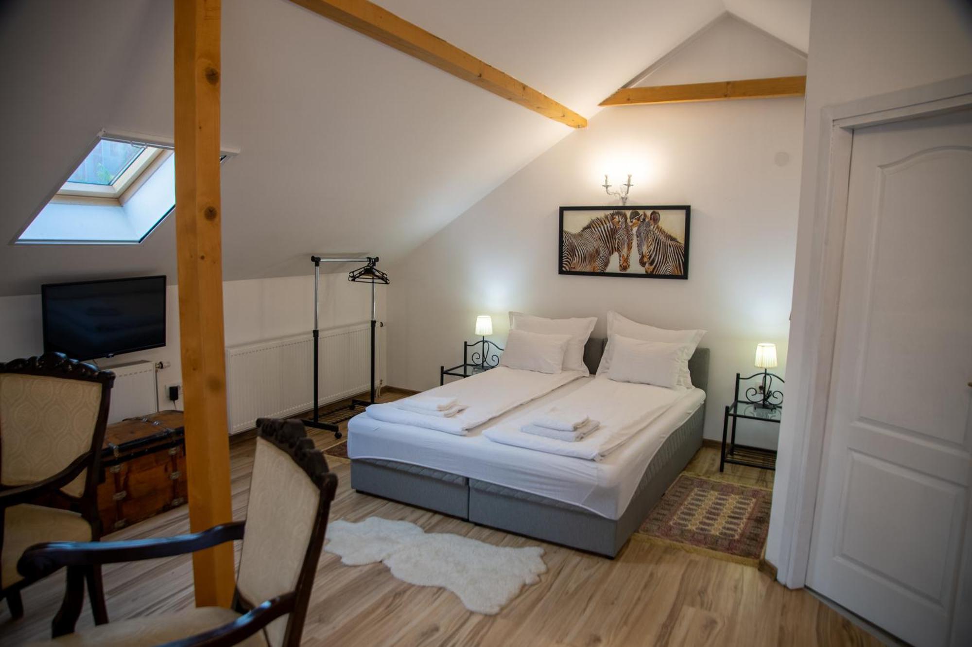 Apartman Centar 斯雷姆斯基卡尔洛夫奇 外观 照片